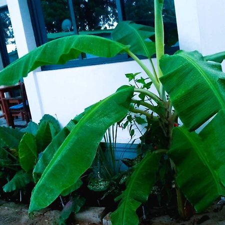 Bungalow Ramena Beach Antsiranana Andjamen 외부 사진