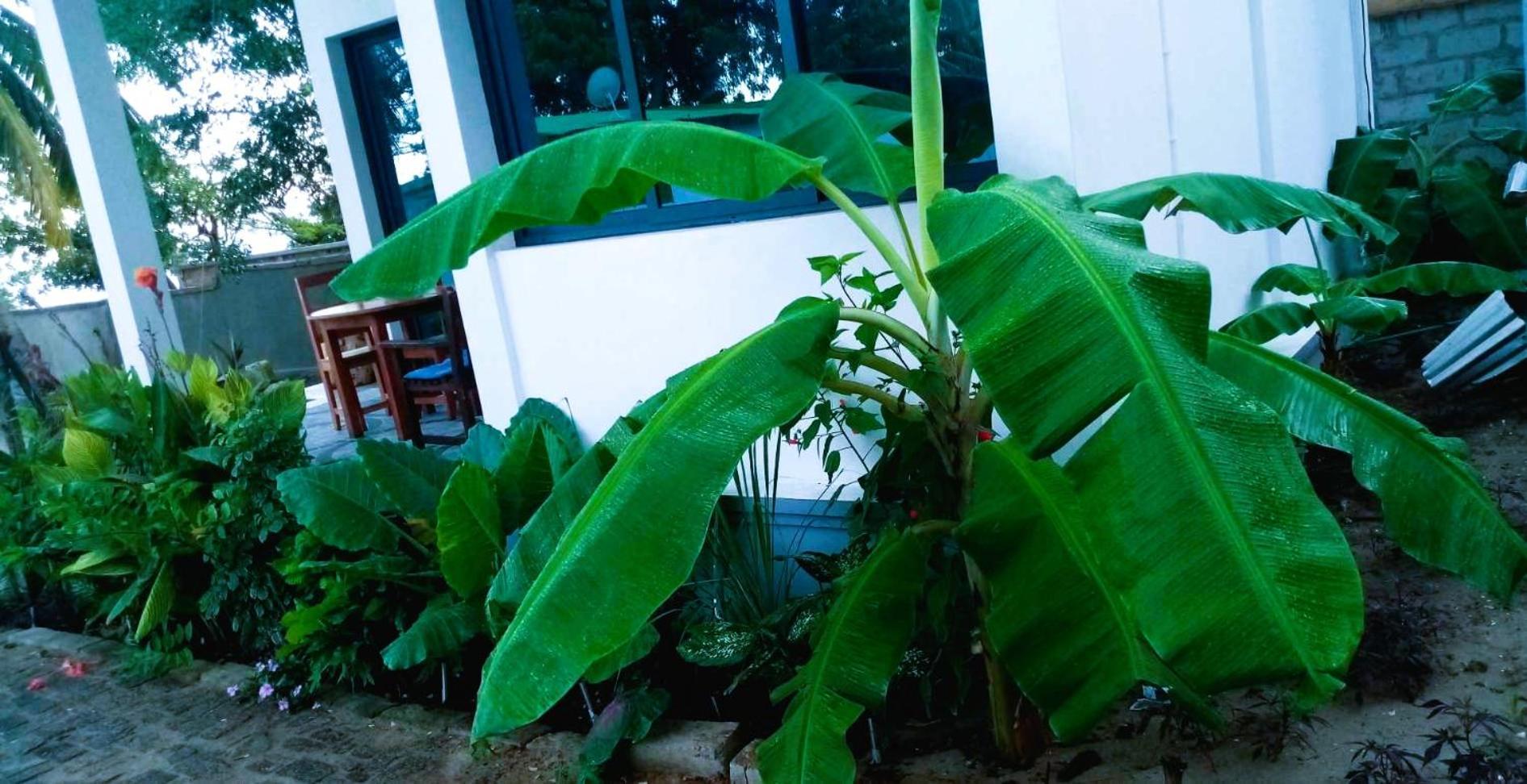 Bungalow Ramena Beach Antsiranana Andjamen 외부 사진