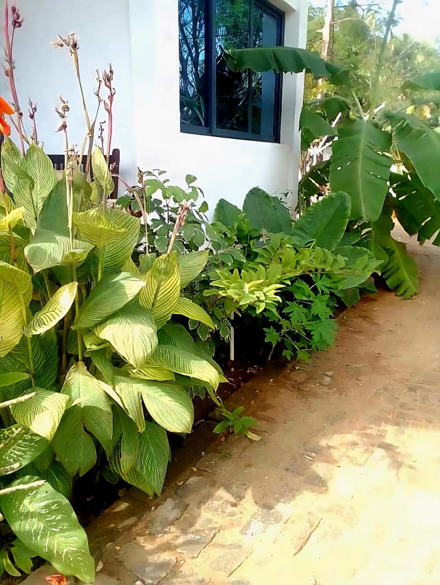 Bungalow Ramena Beach Antsiranana Andjamen 외부 사진